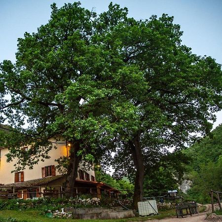 Agriturismo Le Due Querce 切雷托迪斯波莱托 外观 照片