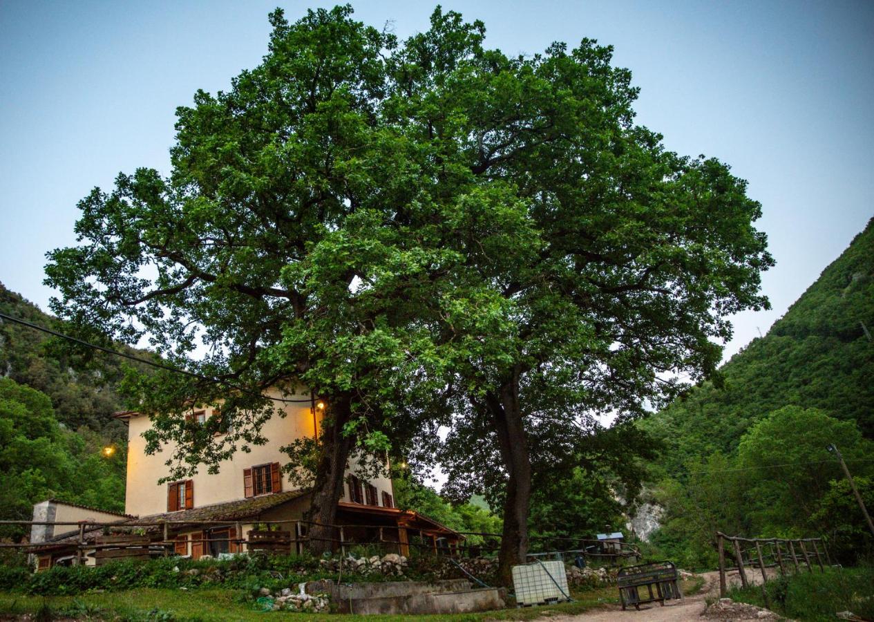 Agriturismo Le Due Querce 切雷托迪斯波莱托 外观 照片