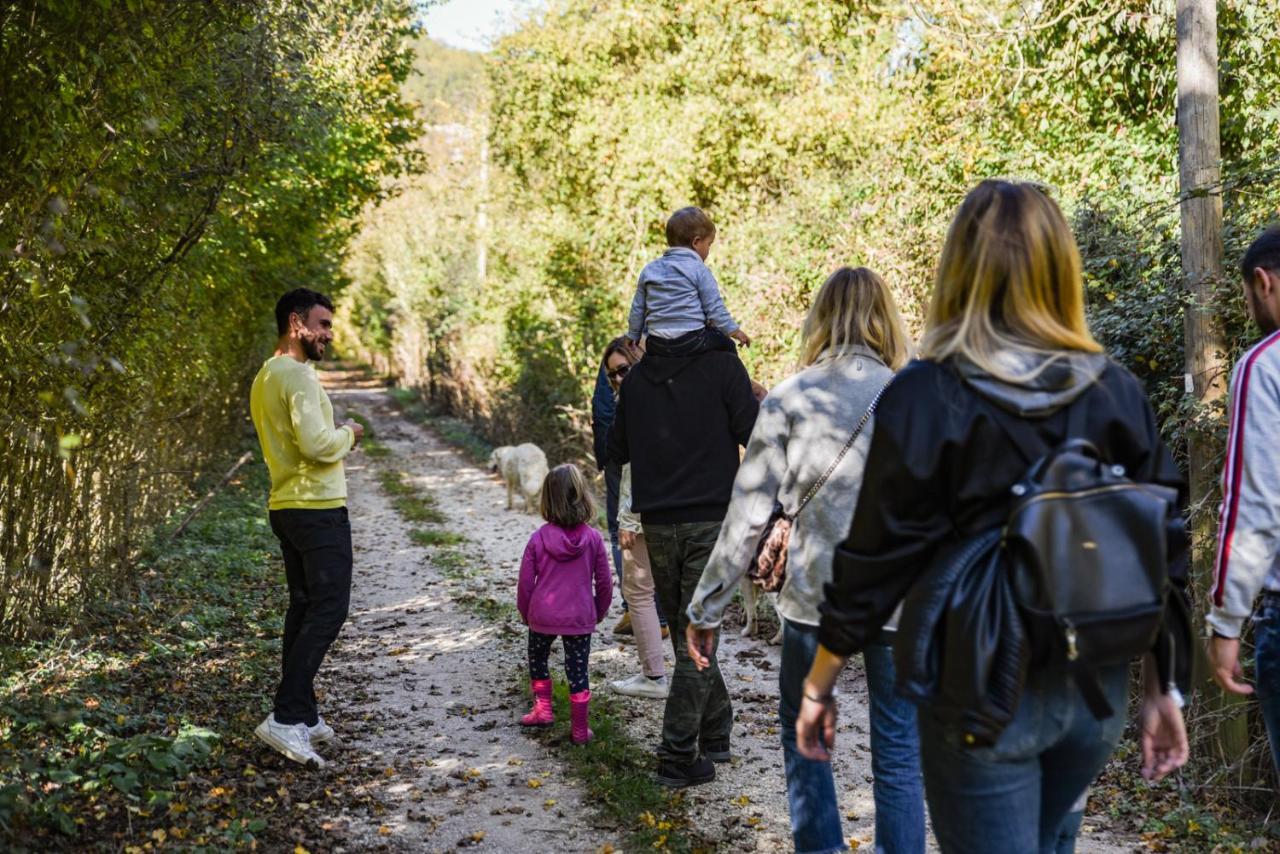 Agriturismo Le Due Querce 切雷托迪斯波莱托 外观 照片